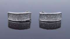 Sterling Silver Glitter Earrings