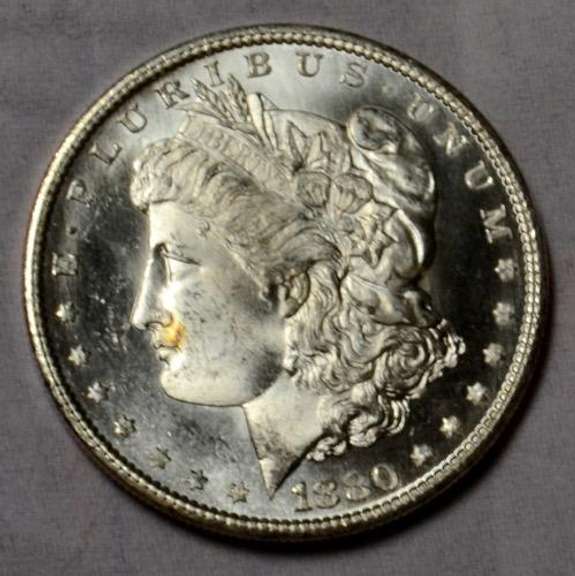 1880 S Choice BU Frosty White Morgan Dollar