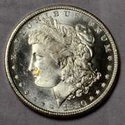 1880 S Choice BU Frosty White Morgan Dollar