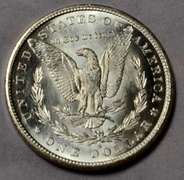 1880 S Choice BU Frosty White Morgan Dollar