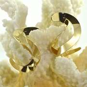 Showy 14K Swirl Earrings