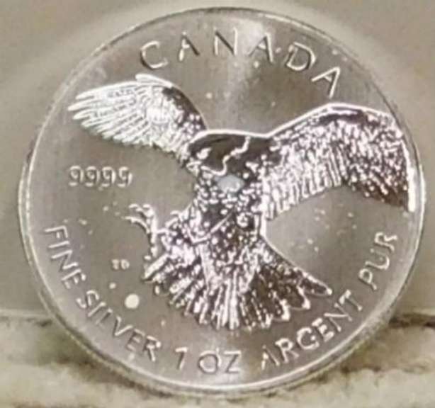 2014 One Ounce .9999 pure Silver Canadian Falcon.