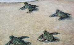 Beautiful Original by Paul Wren