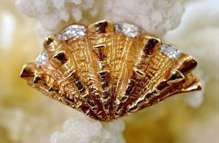 Organic 14K Sea Shell Brooch