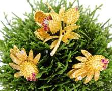 Fantastic 18K Thistle Brooch and Earrings Set