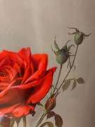 Roses for My Love Stunning Realist Painting