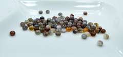 Botswana Agate Gemstone 93 Count 6 x 4mm Beads
