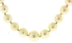 Vintage 14kt WG Pearl Strand Necklace