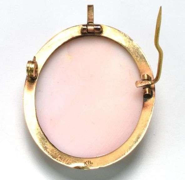 Nice Cameo Pin/Pendant in Gold