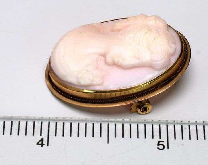 Nice Cameo Pin/Pendant in Gold