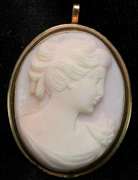 Nice Cameo Pin/Pendant in Gold