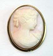 Nice Cameo Pin/Pendant in Gold