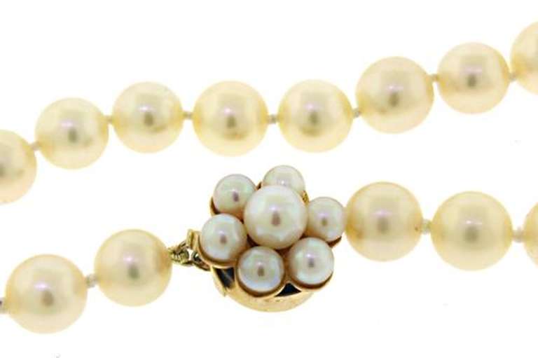 Classy 14kt YG Soft Golden Pearl Necklace