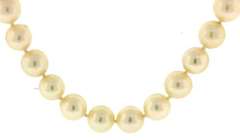 Classic 14kt YG Fresh Water Pearl Necklace
