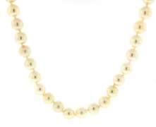 Elegant 14kt YG Fresh Water Pearl Necklace