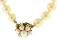 Classy 14kt YG Soft Golden Pearl Necklace