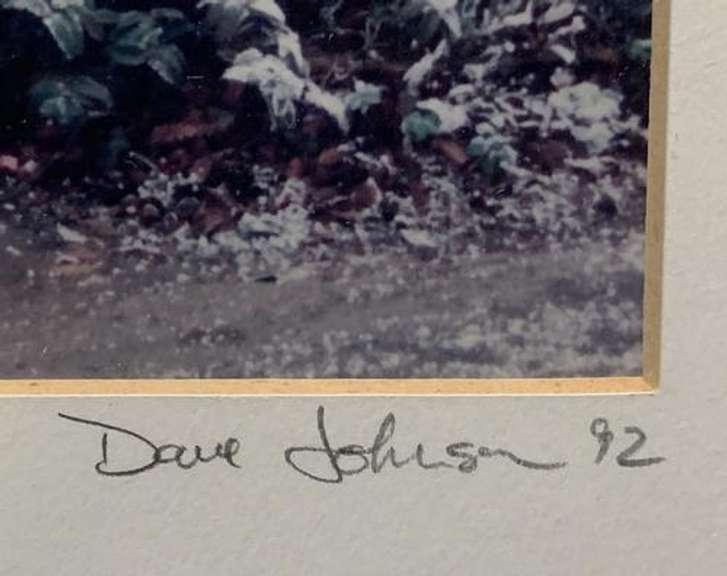 Dave Johnson Signed Beckingham England Photogravure