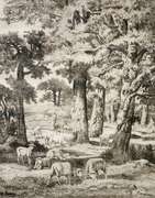 Sheep in The Pasture Ink on Paper