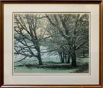 Peter Holbrook Limited Edition 72/100 Color Lithograph