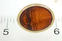 14kt Amber Scarab Earrings