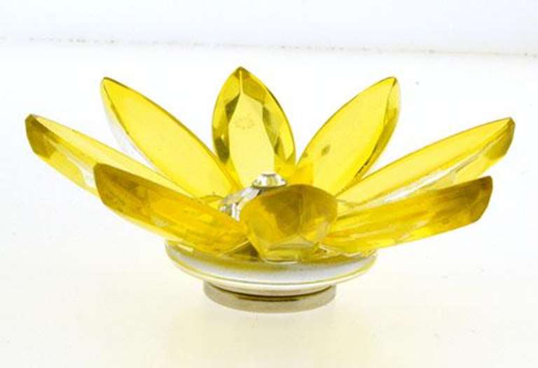 Preciosa Marguerite Magnet