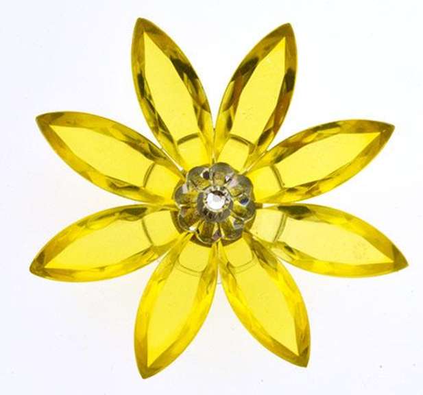 Preciosa Marguerite Magnet