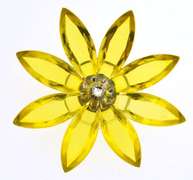 Preciosa Marguerite Magnet