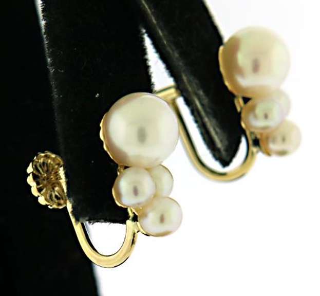 Nice Fresh Water Pearl Earrings