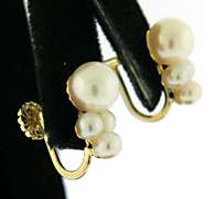 Nice Fresh Water Pearl Earrings