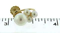 Nice Fresh Water Pearl Earrings