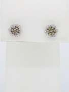Floral Cluster .39CTW Diamond Earrings