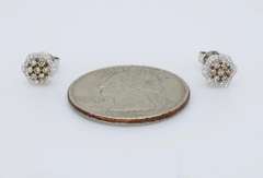 Floral Cluster .39CTW Diamond Earrings
