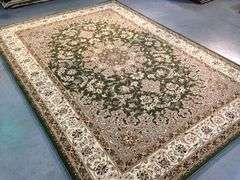 Stunning Traditional Medallion  Design Area Rug 8X11