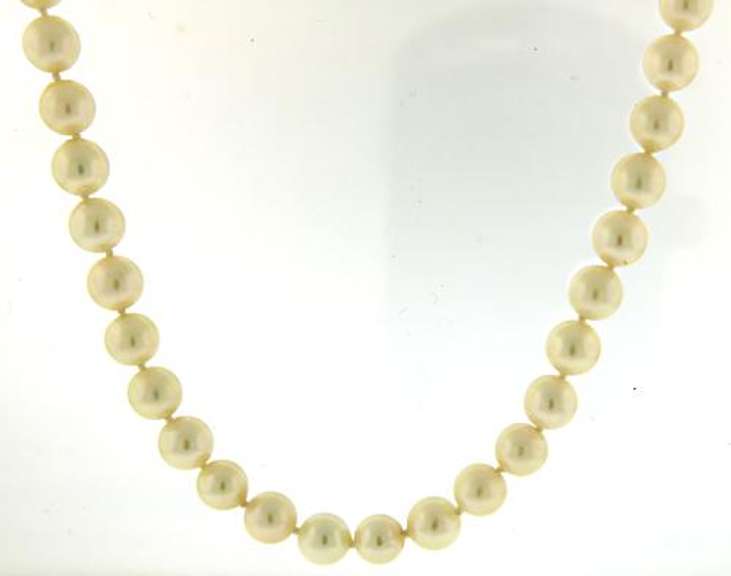 Fresh Water Pearl Necklace