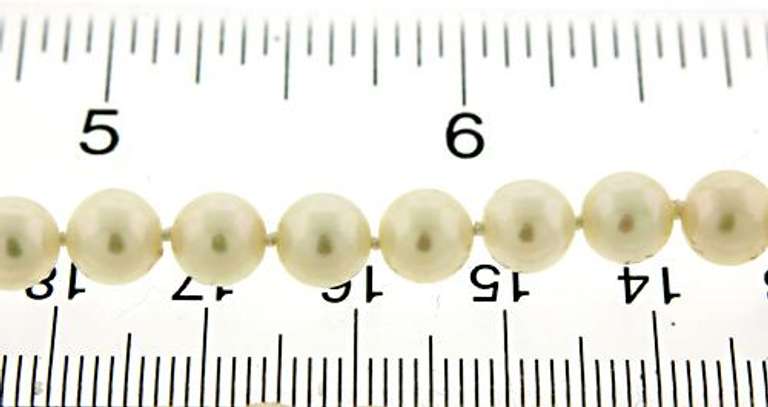 Fresh Water Pearl Necklace