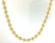Fresh Water Pearl Necklace