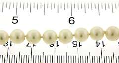 Fresh Water Pearl Necklace