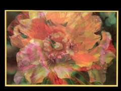 Beautiful Photogravure of a Colorful Flower