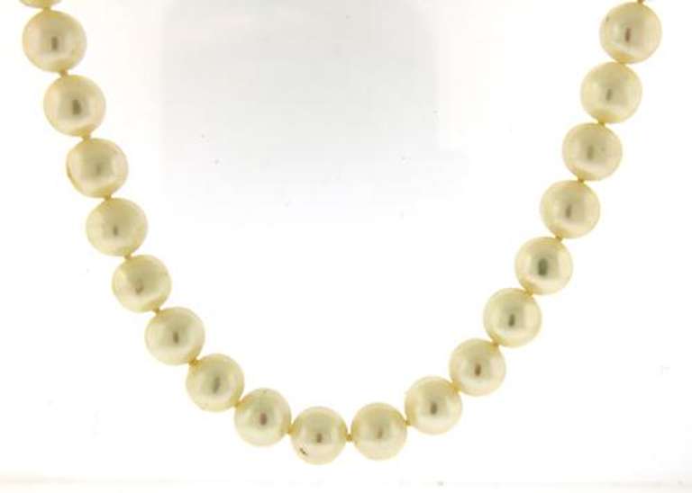 Elegant 14kt YG White Fresh Water Pearl Necklace