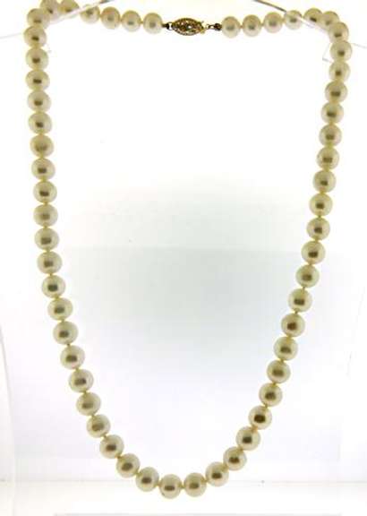 Elegant 14kt YG White Fresh Water Pearl Necklace