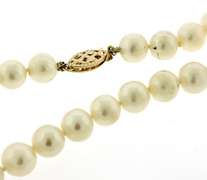 Elegant 14kt YG White Fresh Water Pearl Necklace