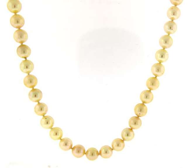Classy Cream Pearl Necklace