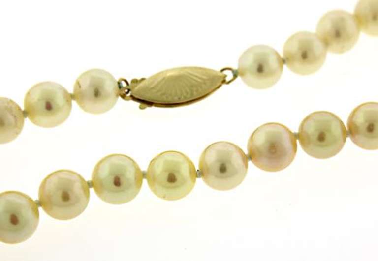 Classy Cream Pearl Necklace