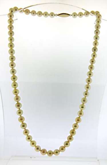 Classy Cream Pearl Necklace
