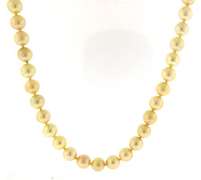 Classy Cream Pearl Necklace