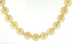 Classy Cream Pearl Necklace