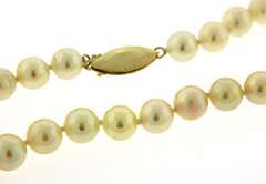 Classy Cream Pearl Necklace