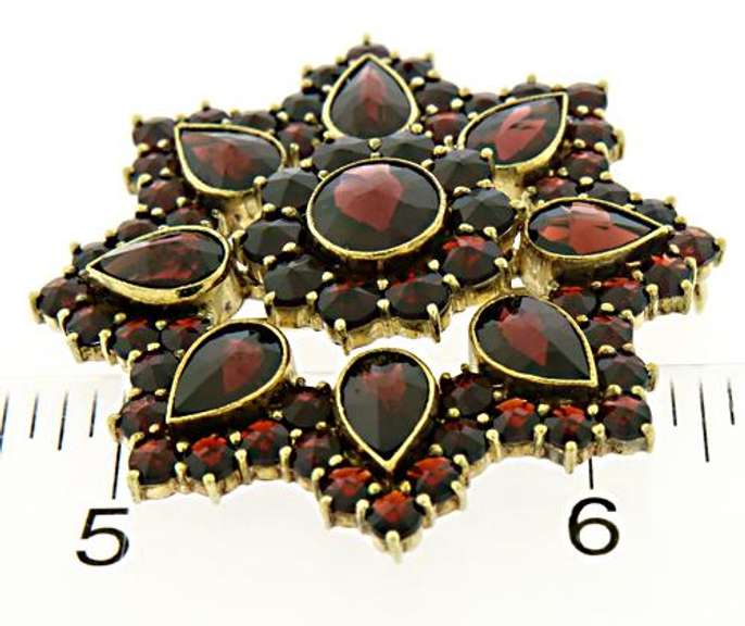 Gorgeous 14kt YG Bohemian Garnet Brooch