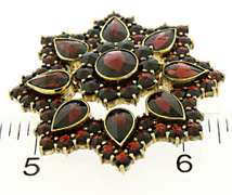 Gorgeous 14kt YG Bohemian Garnet Brooch