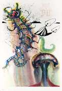 SALVADOR DALI ADVICE FROM A CATERPILLAR 1969